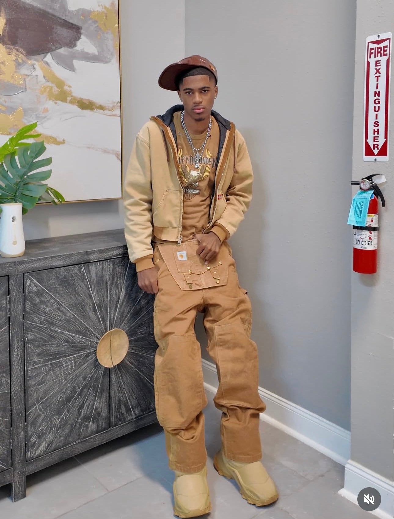 1 of 1 carhartt Overall pants